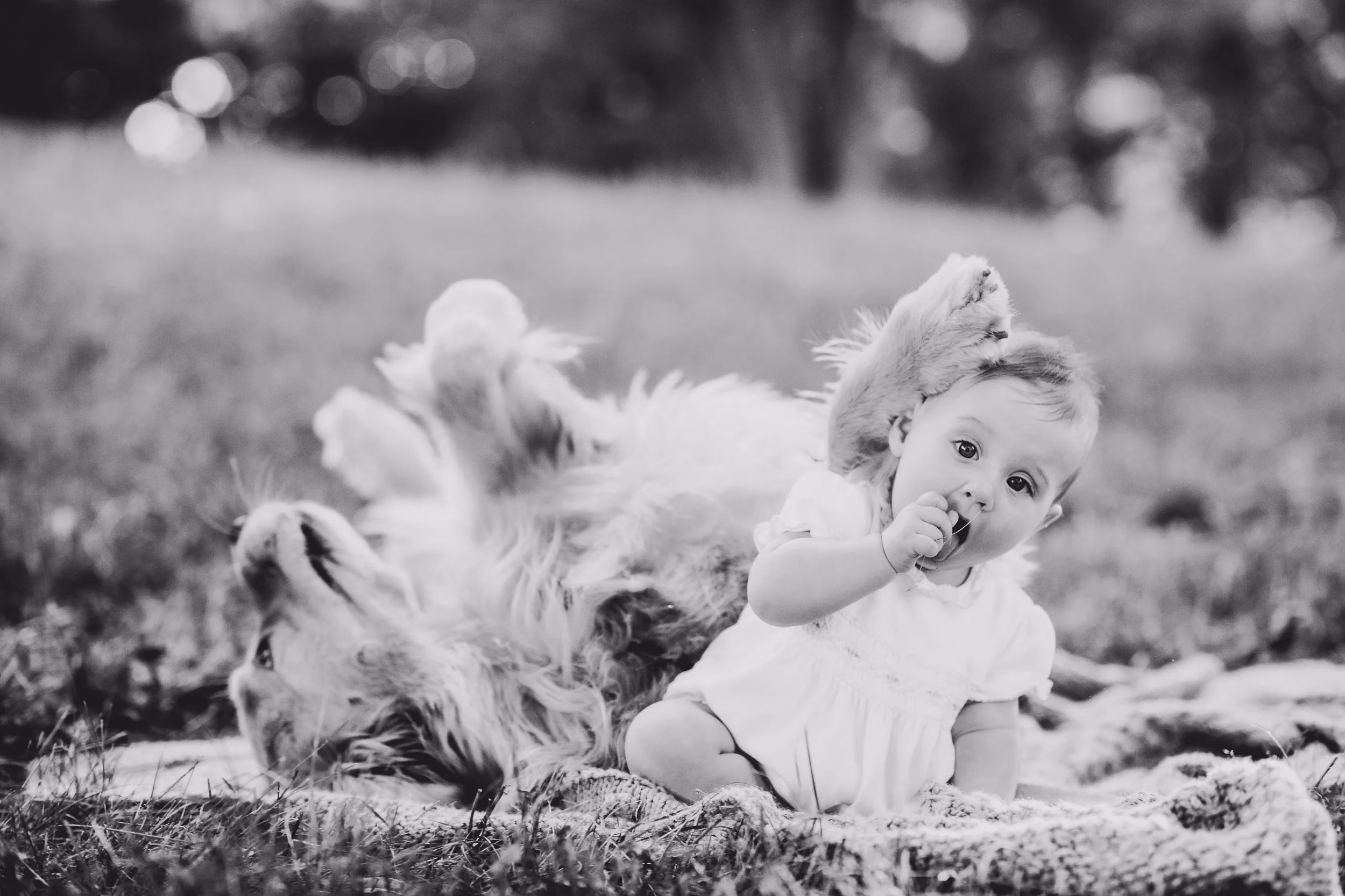 Boston Family Photographer
