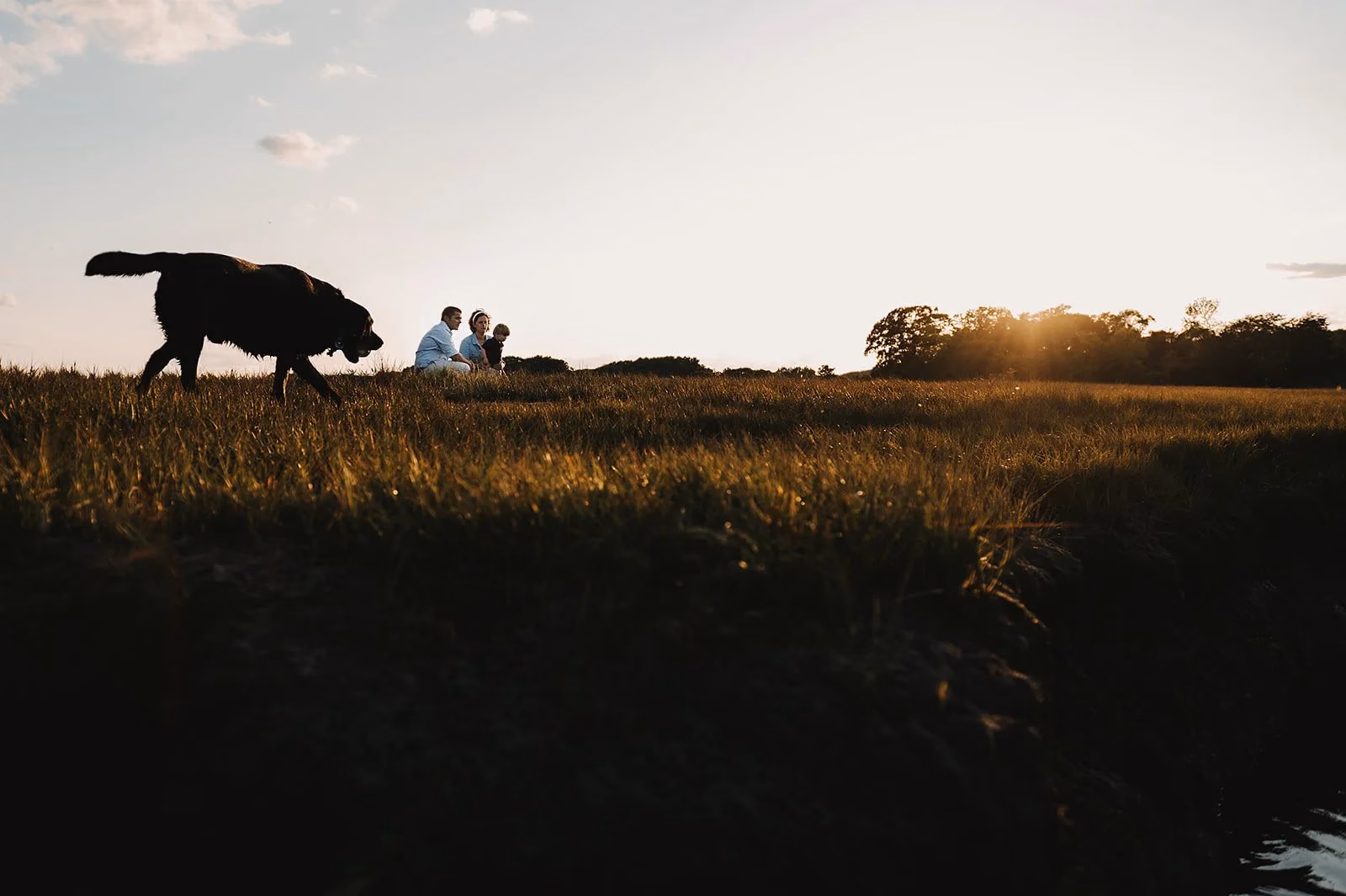 North Shore Family Photographer